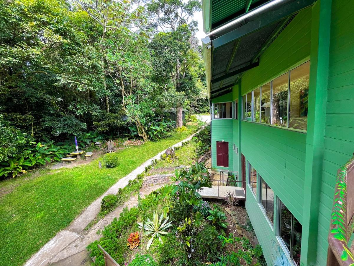 モンテベルデ La Casa De La Montana Bed & Breakfast エクステリア 写真