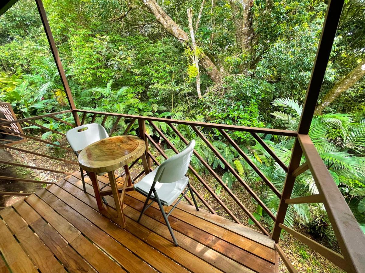 モンテベルデ La Casa De La Montana Bed & Breakfast エクステリア 写真