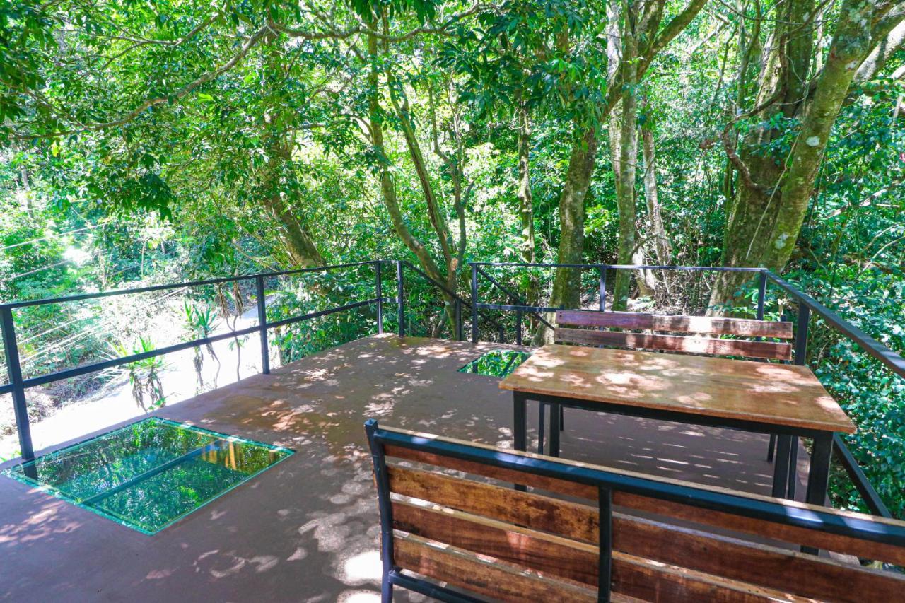 モンテベルデ La Casa De La Montana Bed & Breakfast エクステリア 写真
